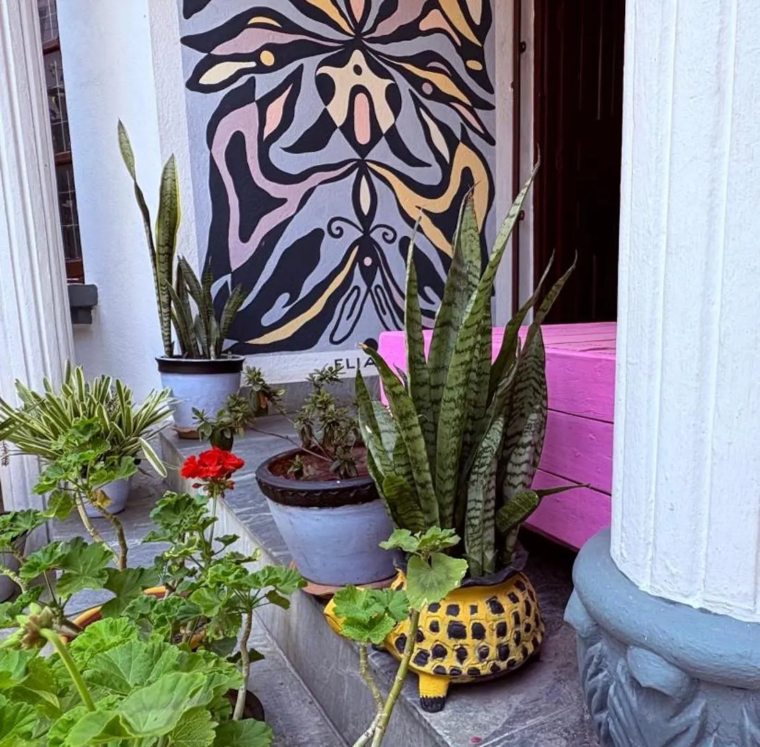 Drakon Nest Homestay Kathmandu
