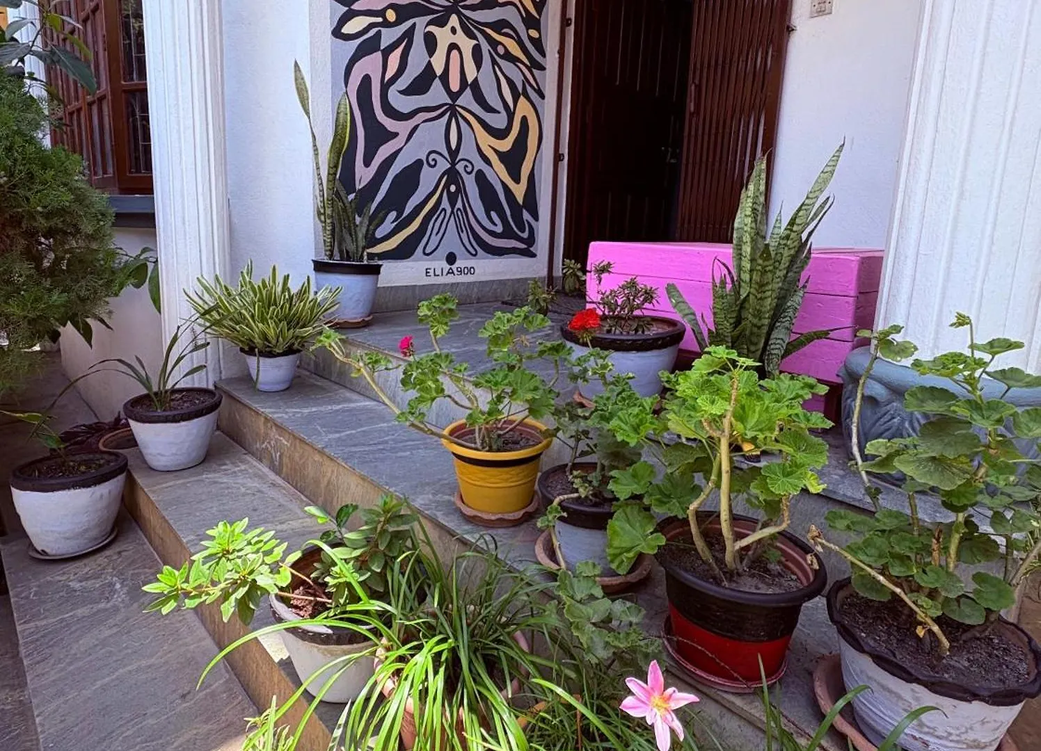 Drakon Nest Homestay Kathmandu Nepal